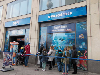 Sealife in Berlin