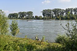 Rheinufer bei Biebesheim