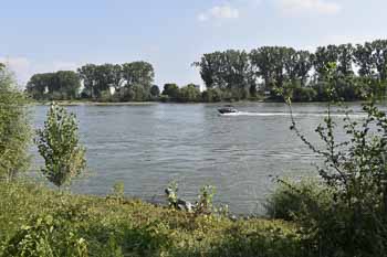 Rheinufer bei Biebesheim