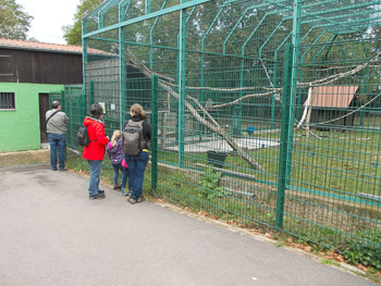 Tierpark am Blättelbornweiher in Merzig