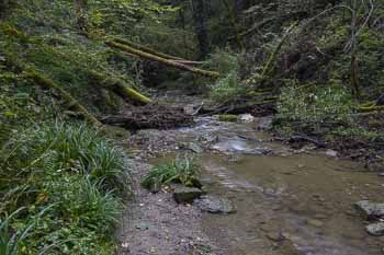Zillhauser Wasserfall