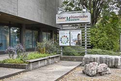 Naturhistorisches Museum in Nürnberg