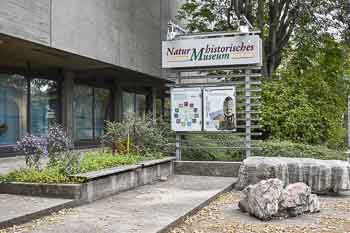 Naturhistorisches Museum in Nürnberg Bayern