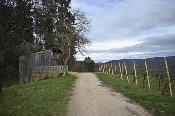 Fürstenlager bei Bensheim-Auerbach