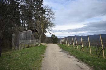 Höhenweg am Bensheimer Fürstenlager Hessen