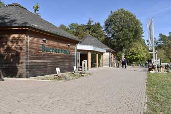 Wildtierpark Edersee Hessen