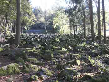 Kleines Felsenmeer bei Steinau im Fischbachtal Hessen