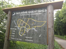 Naturpark Habichtswald bei Kassel