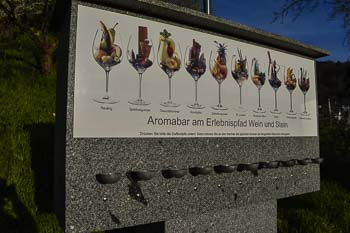 Weinbaugebiet Hessische Bergstraße bei Heppenheim