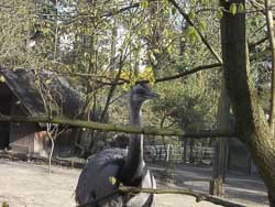 Vogelschutzpark Birkengarten in Lorsch
