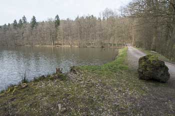 Großer See bei Michelstadt-Steinbach