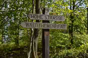 Waldthemenpfad bei Ober-Ramstadt Hessen