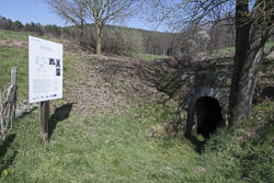 Grube Georg - Bergbaulandschaft Reichelsheim