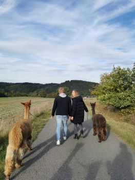 Alpaka-Wanderung bei Vöhl-Harbshausen Hessen