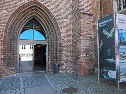 Deutsches Meeresmuseum in Stralsund