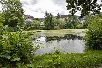 Kahnteich in Goslar Niedersachsen