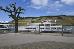 Schifffahrt mit der Bingen-Rüdesheimer