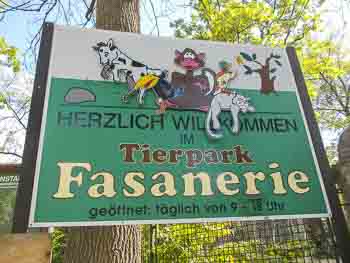 Tierpark Fasanerie in Arnstadt