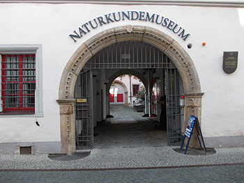 Naturkundemuseum in Erfurt Thüringen