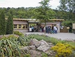 Thüringer Zoopark in Erfurt