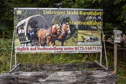 Kutschfahrten im Thüringer Wald